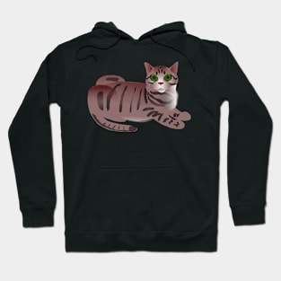 Graphic Cat Hoodie